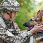 How Dogs Can Help Veterans Overcome PTSD