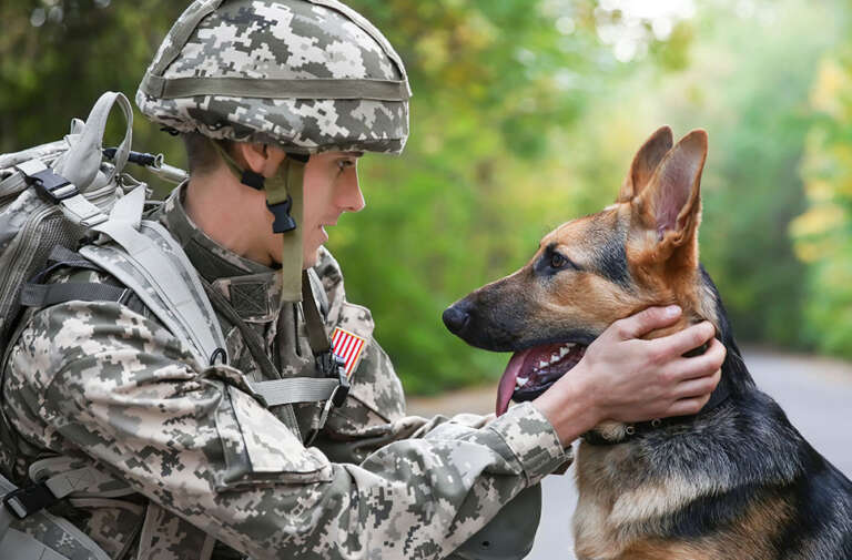 How Dogs Can Help Veterans Overcome PTSD