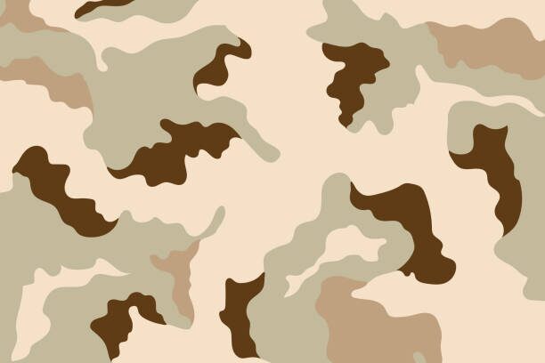 The 4 best military camouflage patterns for blending in or standing out