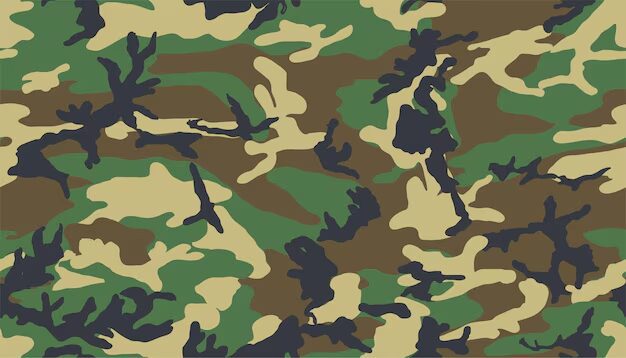 The 4 best military camouflage patterns for blending in or standing out